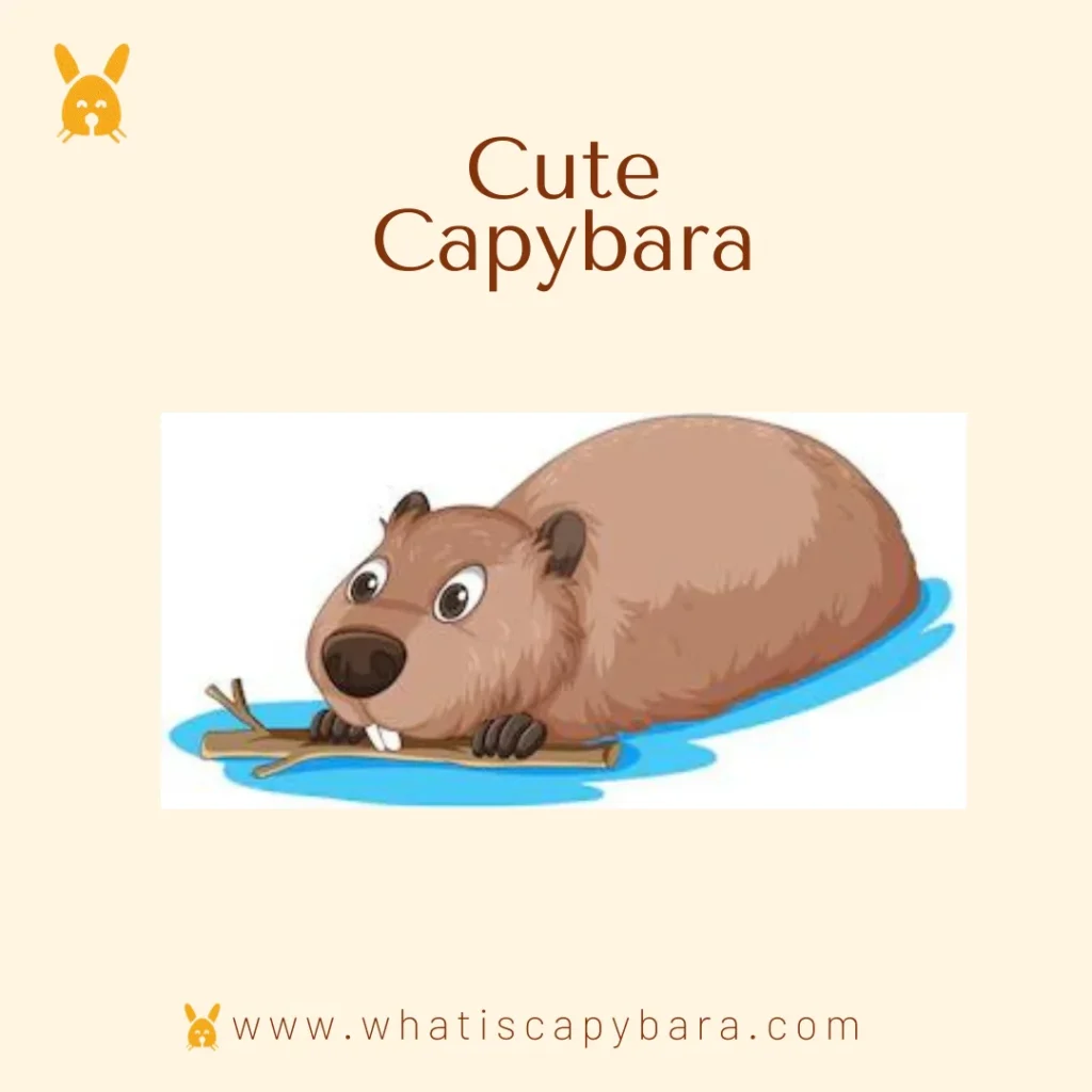 Is It Legal to Own Capybaras