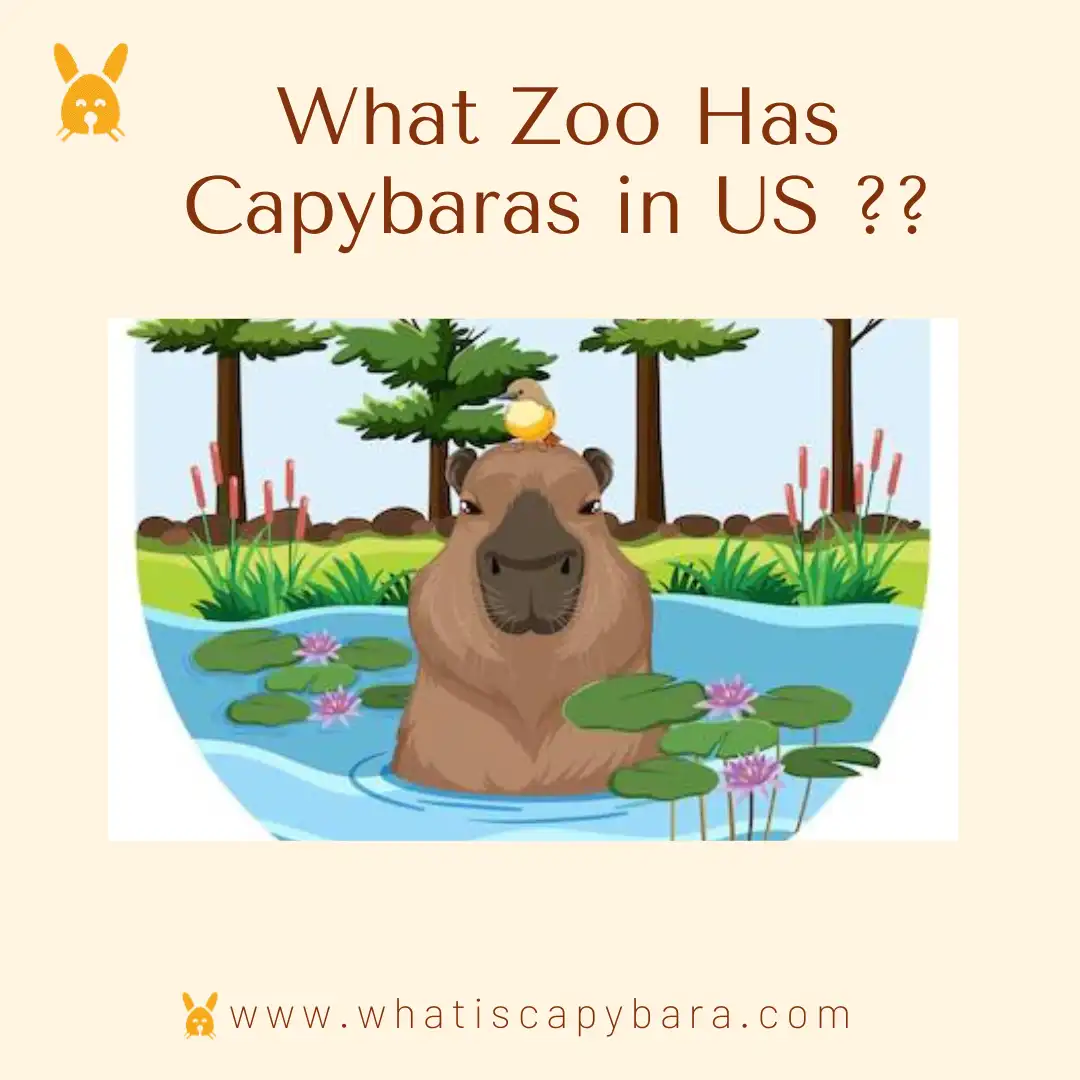 What zoo has capybaras in US