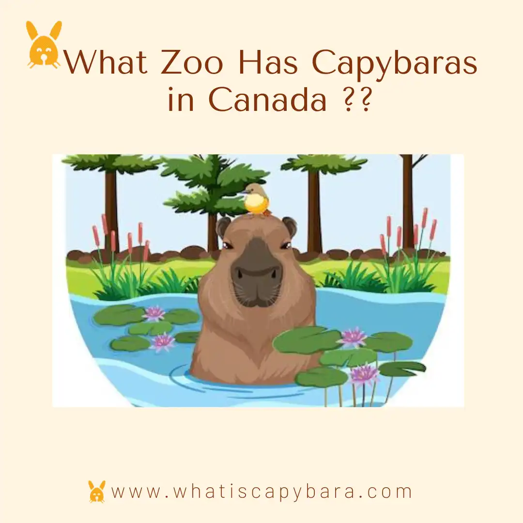 What zoo has capybaras in canada