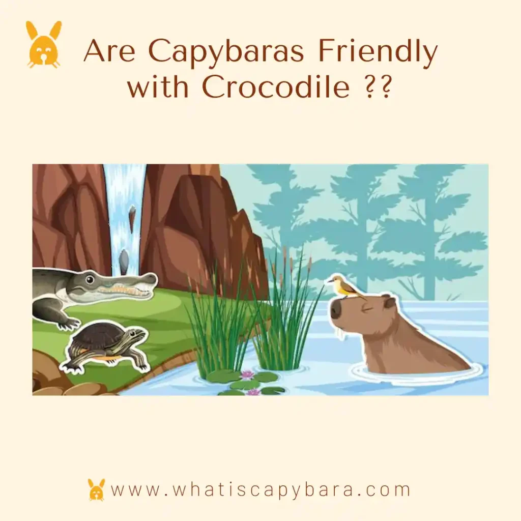 Are Capybaras Friendly with Crocodile