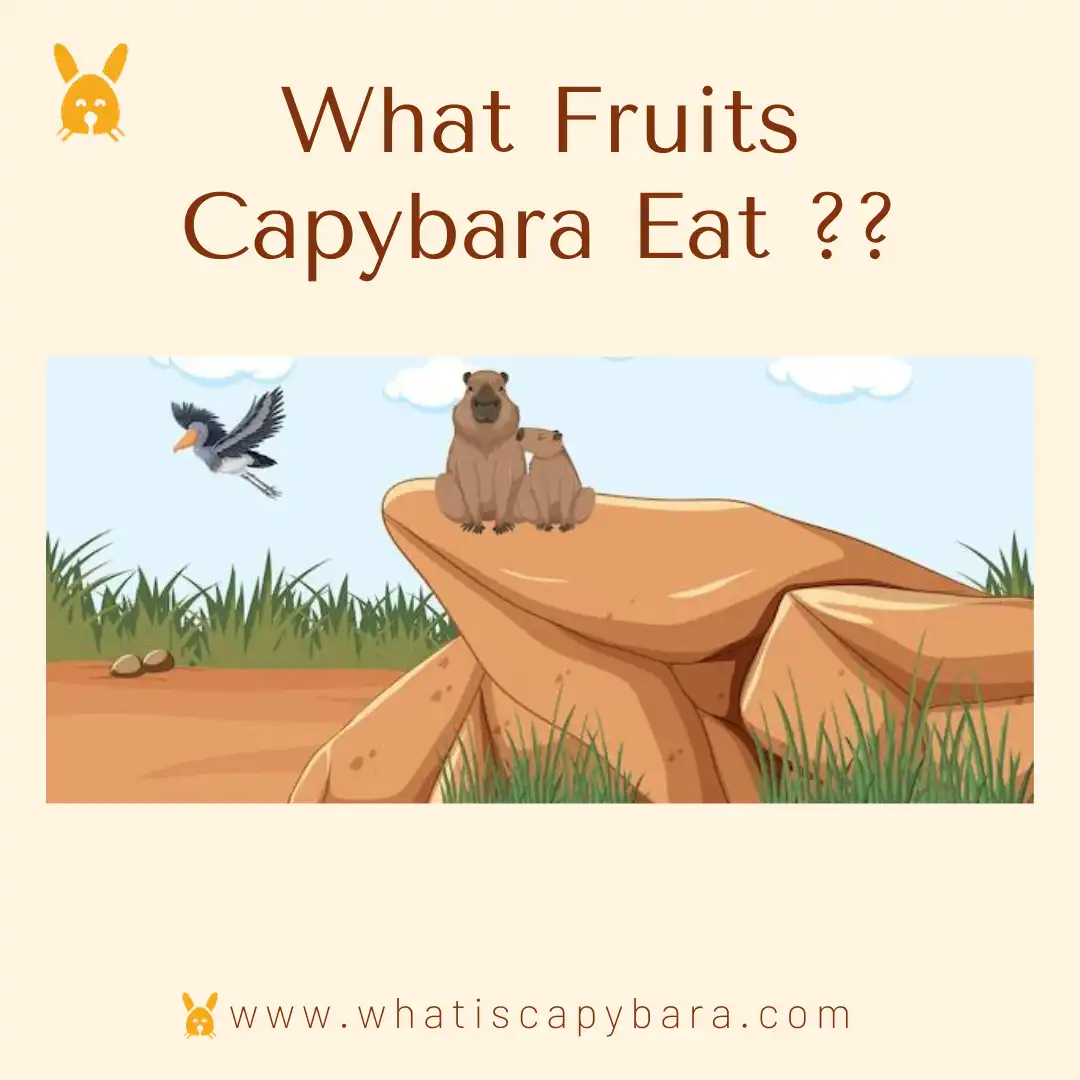 What fruits capybara eat
