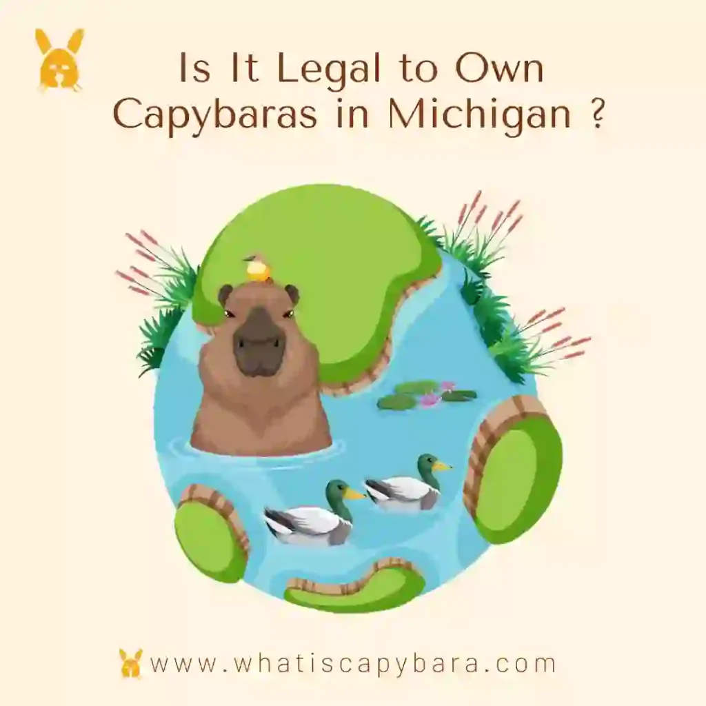 Can you own a capybara in Michigan