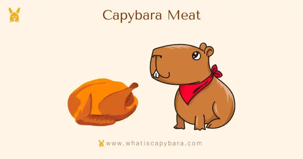 Capybara Meat